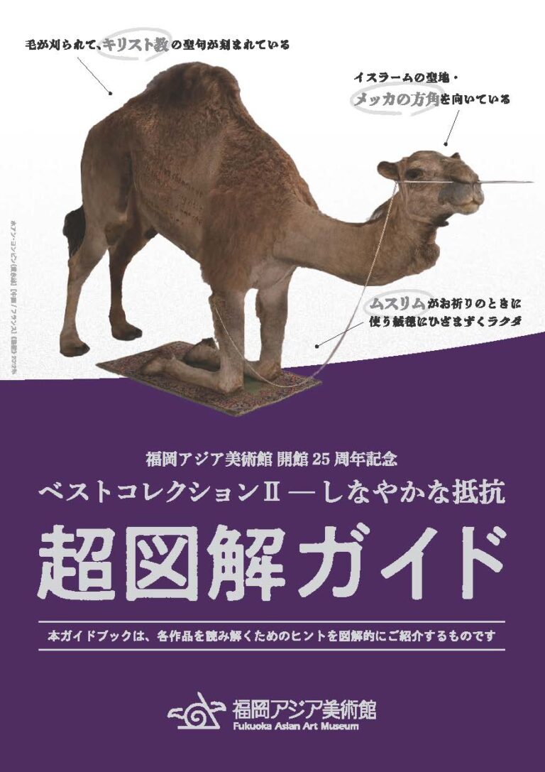 ベストコレクションⅡ―しなやかな抵抗_超図解ガイド_JP